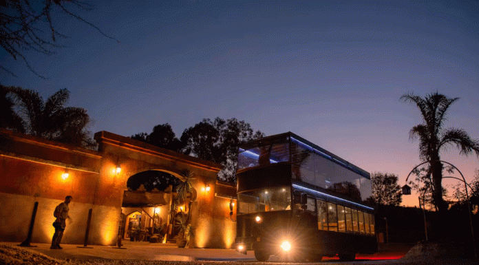 Moon Safari: descubre la vida nocturna de Africam bajo la luz de la Luna