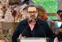 Reforma ambiental protege y conserva la vida animal en Michoacán: Secma