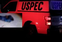 Hallan a dos sujetos ejecutados y embolsados en el municipio de Queréndaro