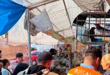 Operativos de decomiso del IMPA, logran retirar a perros, tortugas, pieles y aves de las calles de Morelia