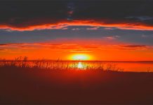 Invierno y vitamina D: por qué aumenta la preocupación en países alejados del ecuador