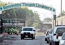Tianguis Limonero sigue sin presidente tras asesinato de Bernardo Bravo