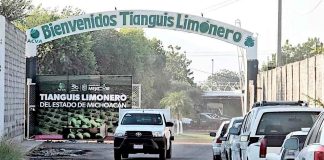 Tianguis Limonero sigue sin presidente tras asesinato de Bernardo Bravo