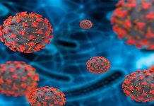 Virus Nipah: qué es, cuáles son sus síntomas y cómo se transmite este virus potencialmente mortal