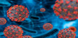 Virus Nipah: qué es, cuáles son sus síntomas y cómo se transmite este virus potencialmente mortal