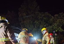 Trágico accidente en Chilchota suman 7 muertos; detienen a conductor de tráiler