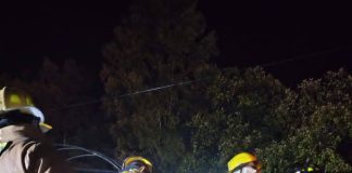 Trágico accidente en Chilchota suman 7 muertos; detienen a conductor de tráiler