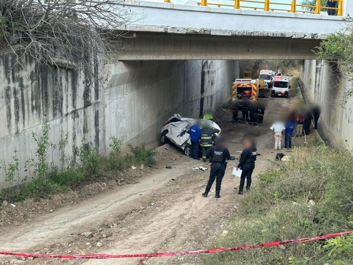 WhatsApp Image 2026-01-22 at 10.57.18 PM (1)