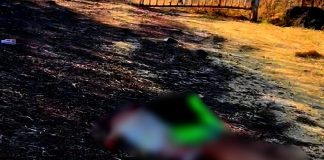 Dec4pit4n a una joven mujer en Buenavista y abandonan su cuerpo con mensaje