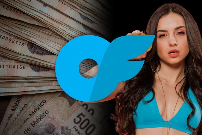 WhatsApp Image 2026-01-29 at 1.17.57 PM