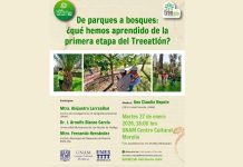 Este martes 27 de enero, se realizará, el primer Café científico del 2026 y será sobre el arbolado urbano