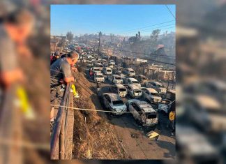 Incendios forestales en Chile dejan al menos 19 muertos y miles evacuados