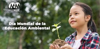 Día Mundial de la Educación Ambiental: una fecha para promover la conciencia ecológica