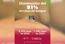 En 2025, Michoacán registró 81 % menos casos de dengue: SSM