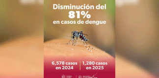 En 2025, Michoacán registró 81 % menos casos de dengue: SSM