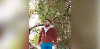 Reaparece “El Bótox” tras operativo federal en Michoacán