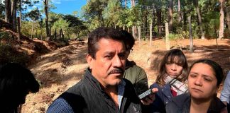 Sin casos de gusano barrenador en Morelia