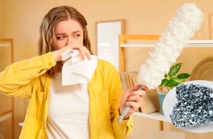 Estudio identifica niveles elevados de metales pesados en polvo doméstico en Morelia