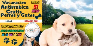 Realizarán feria de adopción y bazar con vacunación antirrábica gratuita este 31 de enero