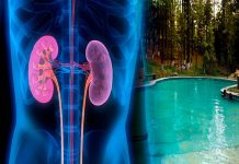 En 15 días dan a conocer resultado de investigación científica que resolverá origen de enfermedades renales en la zona de Los Azufres.