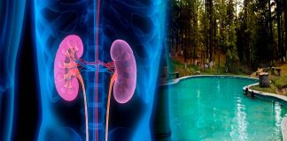 En 15 días dan a conocer resultado de investigación científica que resolverá origen de enfermedades renales en la zona de Los Azufres.