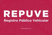 Qué es el REPUVE y para qué sirve en la prevención del robo vehicular