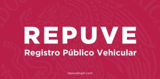 Qué es el REPUVE y para qué sirve en la prevención del robo vehicular