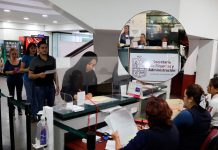 El Satmich previene sobre gestión de licencias de conducir falsas