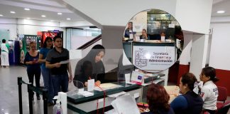 El Satmich previene sobre gestión de licencias de conducir falsas