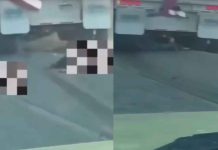 VIDEO//Discusión entre traileros termina en muerte y fuga en la Toluca–Atlacomulco