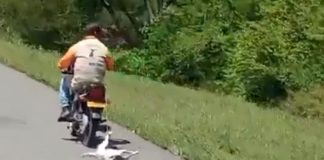 #Video||Sujeto en su motocicleta fue grabado mientras arrastraba a un perrito por la carretera