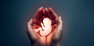 Desde la despenalización del aborto en Michoacán se han realizado cerca de 200 procedimientos