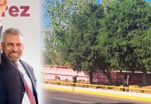 Gobierno de Morelia embellece espacios públicos con atención a sus áreas verdes