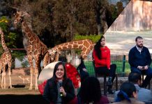 Bodas masivas, pícnic, arte y cultura; así será el megafestejo del amor en Michoacán