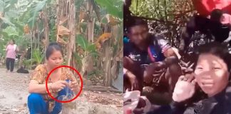 #VIDEO// Tragedia en redes: influencer fallece tras ingerir cangrejo venenoso en video viral