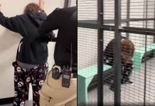 Detienen a estudiante por amenaza de tiroteo escolar