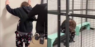 Detienen a estudiante por amenaza de tiroteo escolar