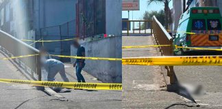 #VIDEO Hallan a adulto mayor muerto en la colonia Isaac Arriaga, cerca de la Central de Abastos de Morelia
