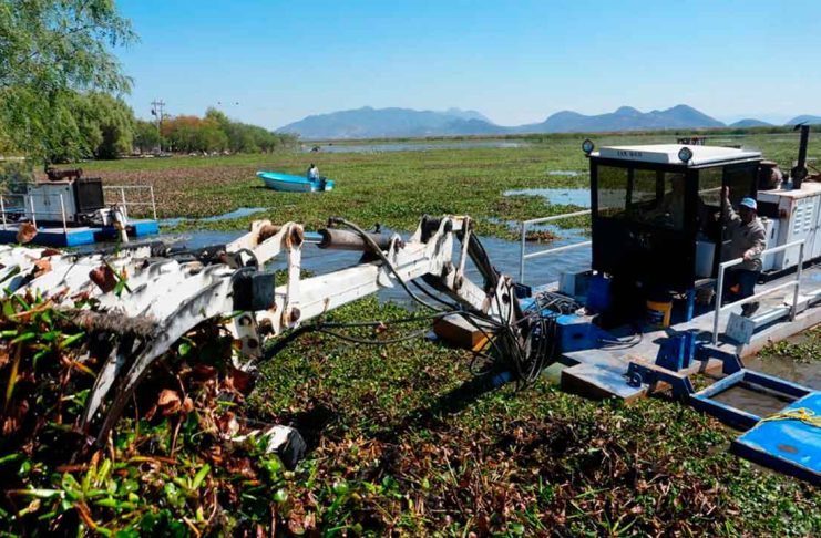 Michoacán rehabilitará 60 hectáreas del lago de Cuitzeo