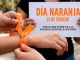 DÍA NARANJA: ¿Por qué cada 25 de febrero alzamos la voz contra la violencia de género?