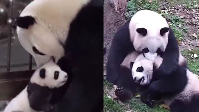 Diseño sin título (10)