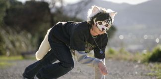 Proponen “Ley Therian” en Nuevo León; buscan protocolos contra discriminación