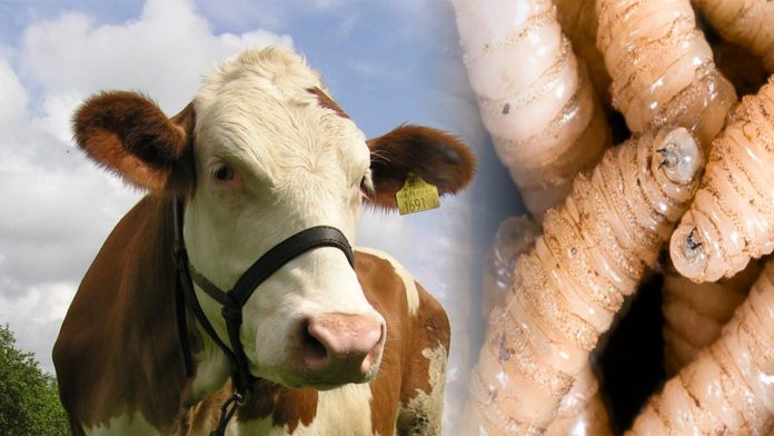 Diseño sin título (45)