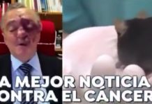 #SEGUIMIENTO #VIDEO || Son 30 millones de euros los que se necesitan para probar en humanos terapia que eliminó cáncer de páncreas en ratones