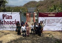 Con inversión de 2.1 mdp, Conagua asegura el riego de casi 7 mil hectáreas en Lázaro Cárdenas