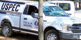 Hombre es asesinado a balazos en la región de Santa Ana Maya