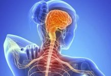 ELA: la enfermedad neurodegenerativa que avanza silenciosamente y aún no tiene cura