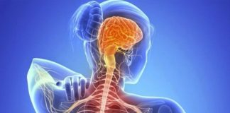 ELA: la enfermedad neurodegenerativa que avanza silenciosamente y aún no tiene cura