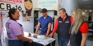 No existen perros de la calle, sino dueños irresponsables: JC Barragán