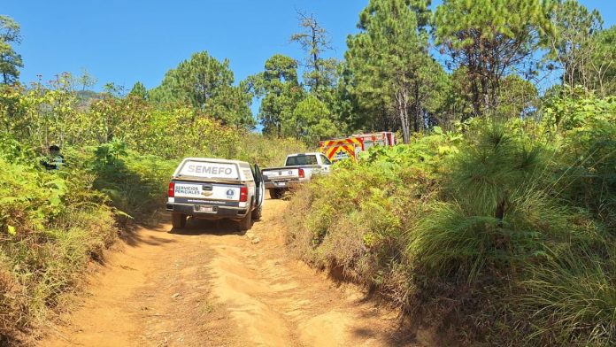 Diseño sin título (65)